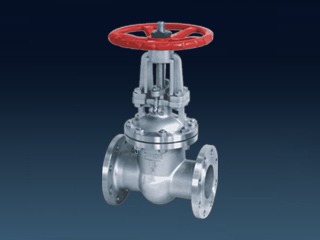 GATE VALVE FLANGE ENDS,GB STANDARD