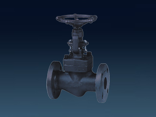 FORGED STEEL GATE VALVES