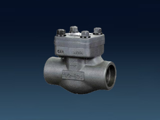 FORGED STEEL CHECKS VALVES