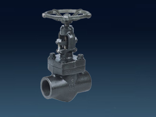 FORGED STEEL GLOBE VALVES
